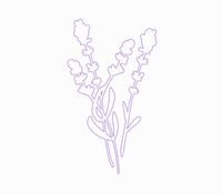 lavender